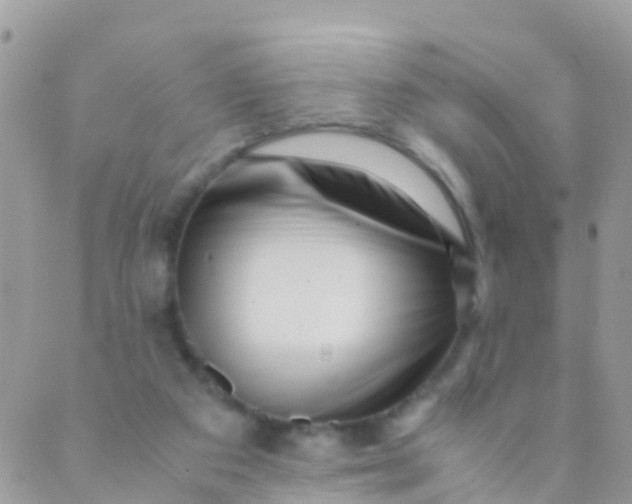 X0000089430113200707061353