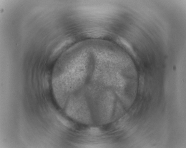 X0000089430114200707061353