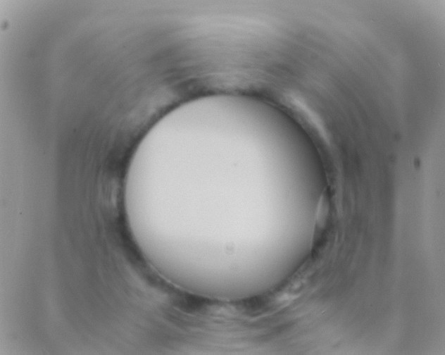 X0000089430115200707061353