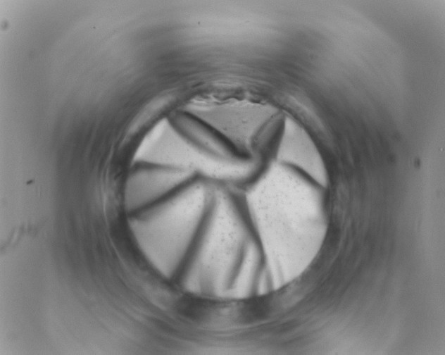 X0000089430116200707061353