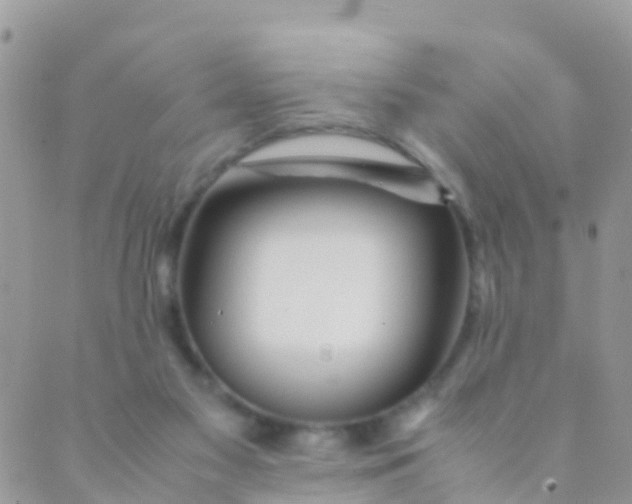 X0000089430117200707061353