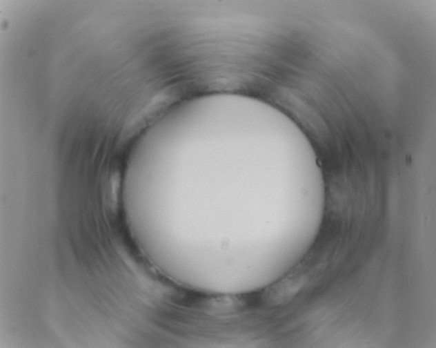 X0000089430118200707061353