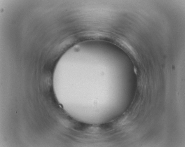 X0000089430119200707061353