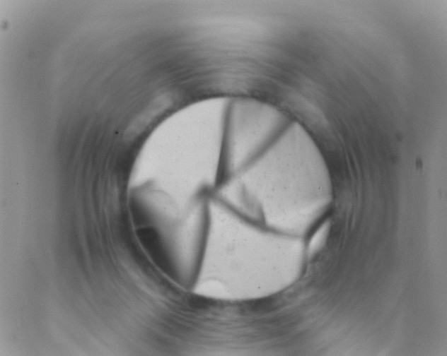 X0000089430120200707061353