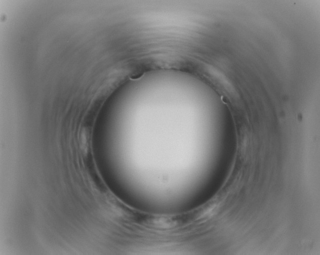 X0000089430121200707061353