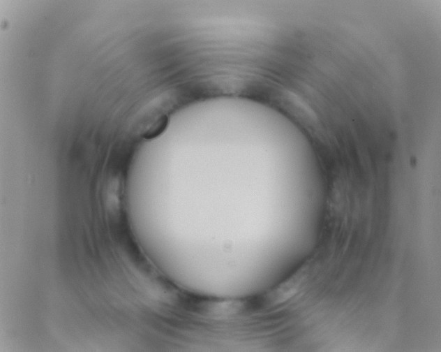 X0000089430122200707061353