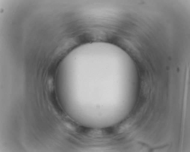 X0000089430123200707061353