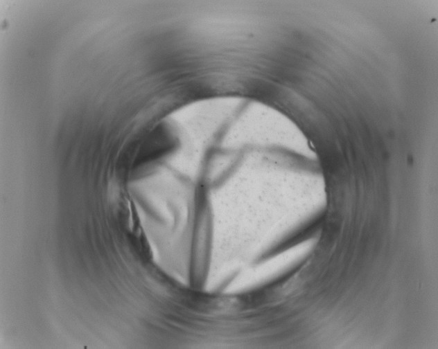 X0000089430124200707061353