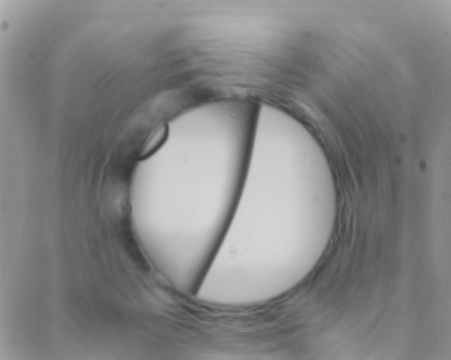 X0000089430125200707061353