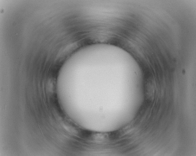 X0000089430126200707061353