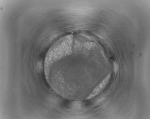 X0000089430127200707061353