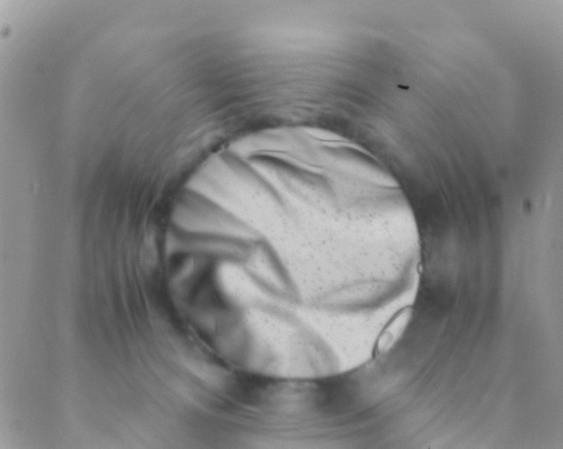 X0000089430128200707061353