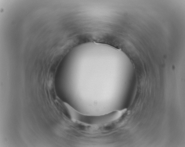 X0000089430129200707061353