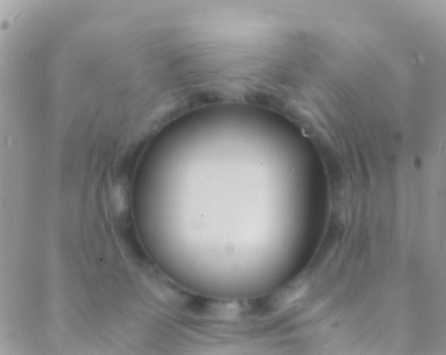 X0000089430131200707061353