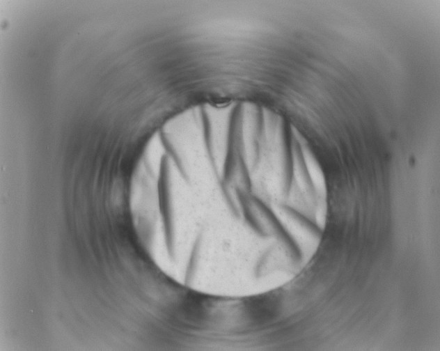 X0000089430132200707061353