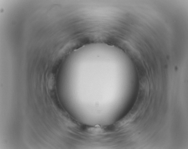 X0000089430133200707061353