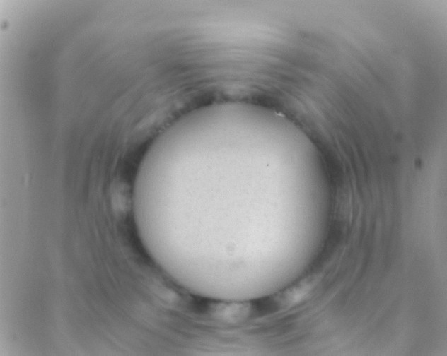 X0000089430135200707061353