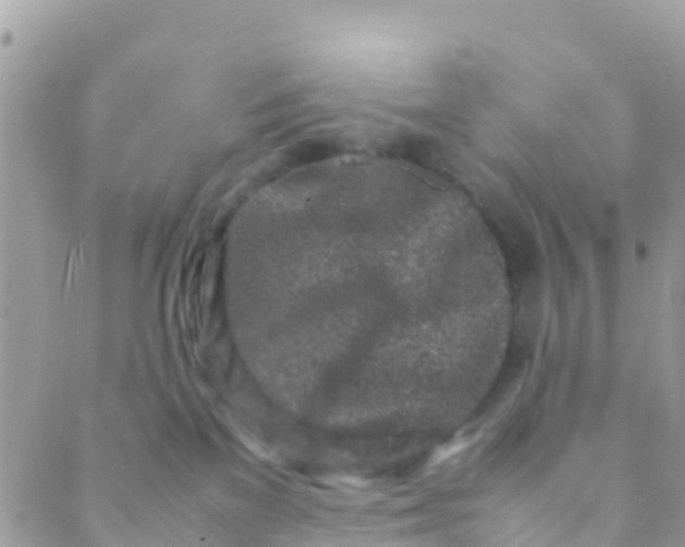 X0000089430137200707061353