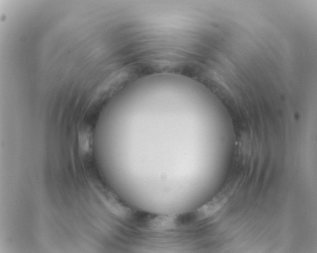 X0000089430138200707061353