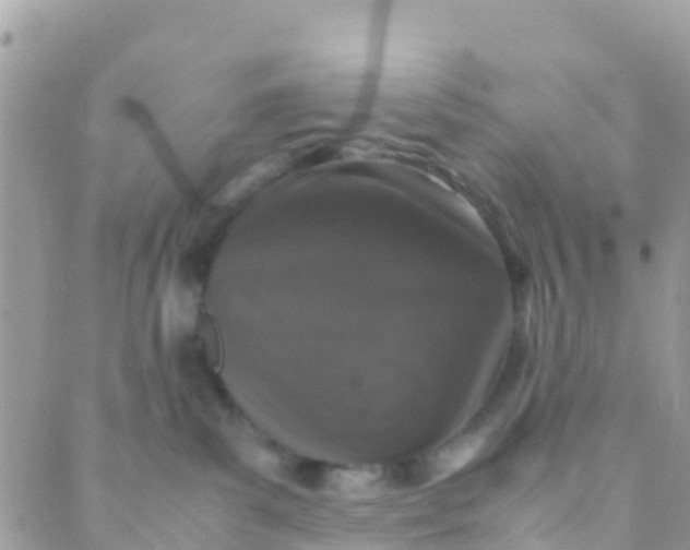 X0000089430139200707061353