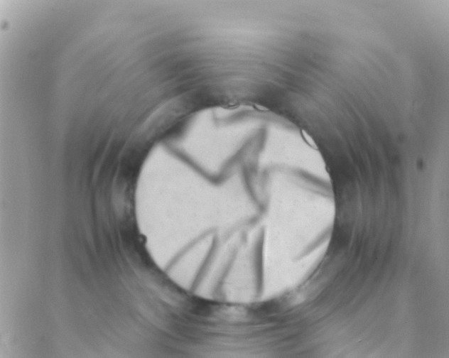 X0000089430140200707061353