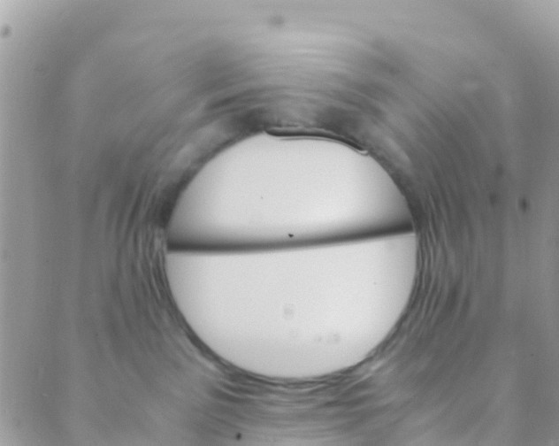 X0000089430141200707061353