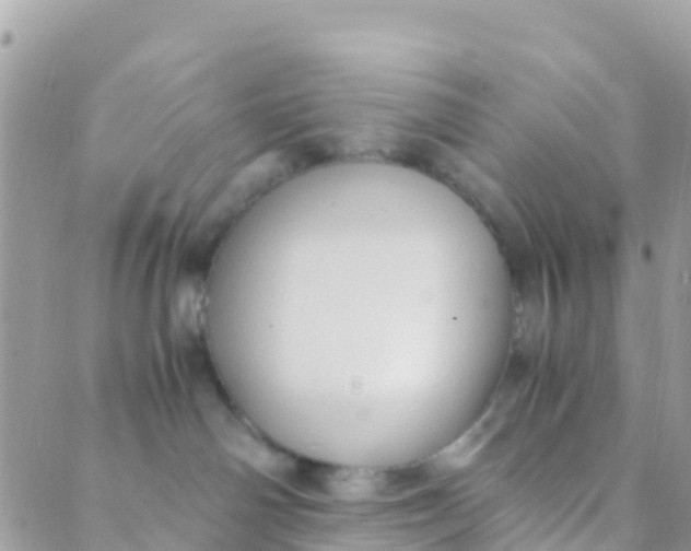 X0000089430142200707061353