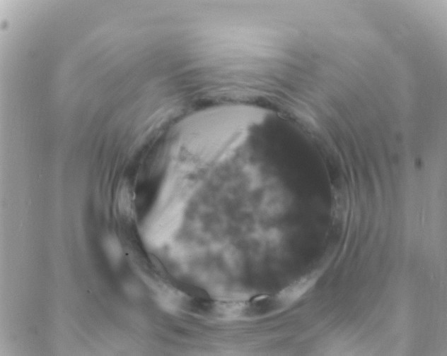 X0000089430143200707061353