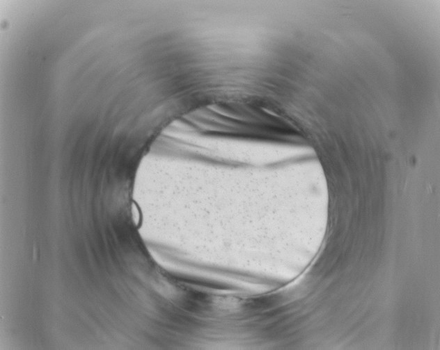 X0000089430144200707061353