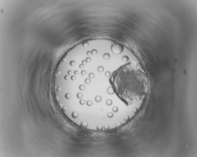 X0000089430145200707061352