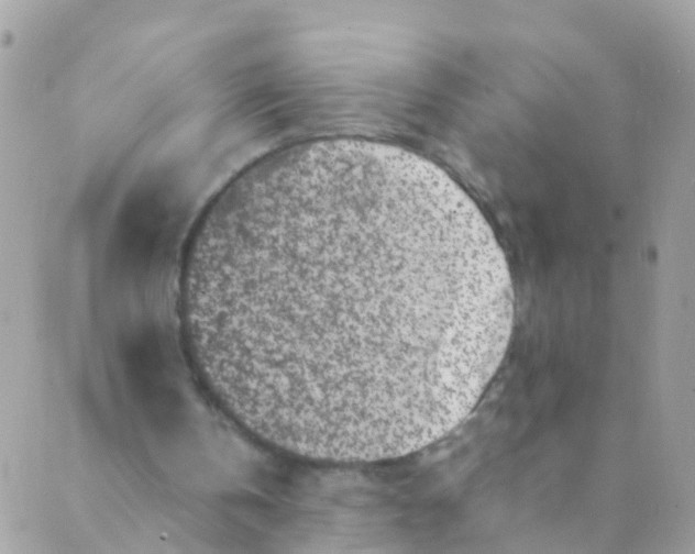 X0000089430146200707061352