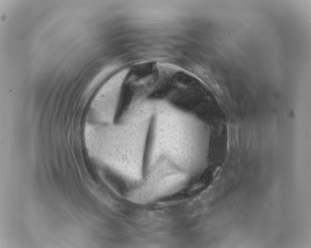 X0000089430147200707061352