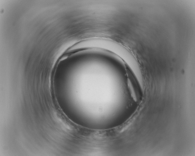 X0000089430148200707061352