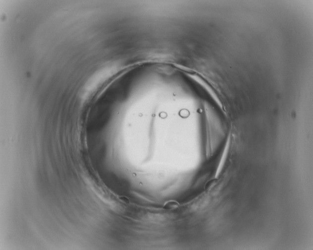 X0000089430149200707061352