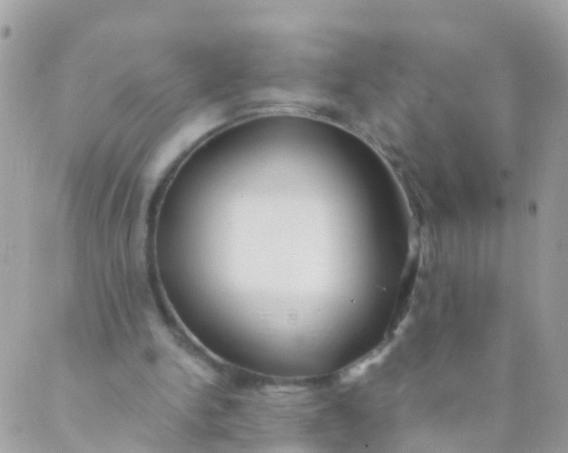 X0000089430150200707061352