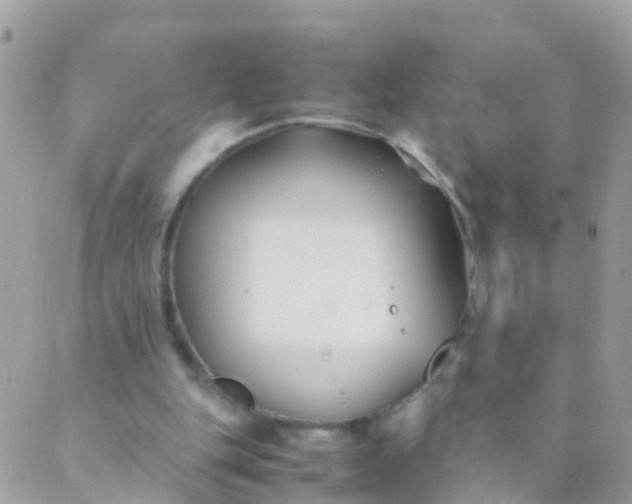 X0000089430151200707061352