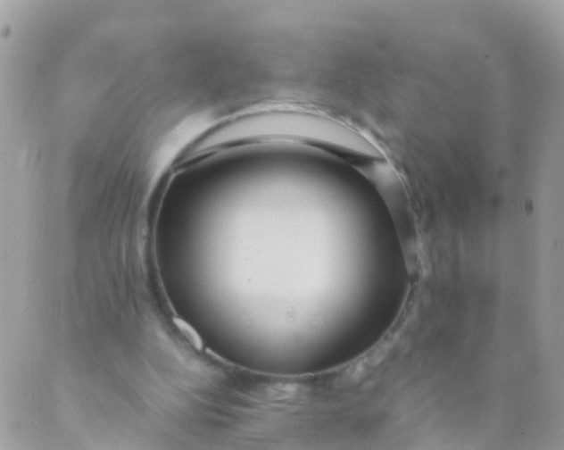 X0000089430152200707061352