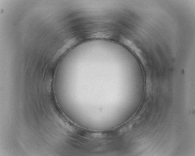 X0000089430153200707061352