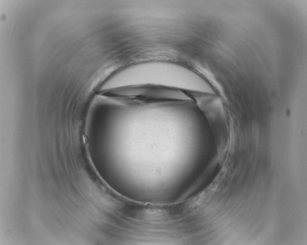 X0000089430154200707061352