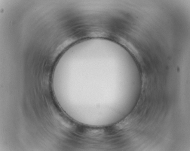 X0000089430155200707061352