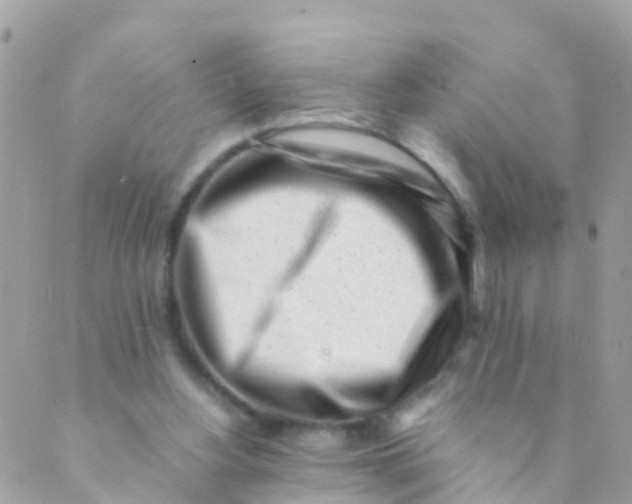 X0000089430156200707061352