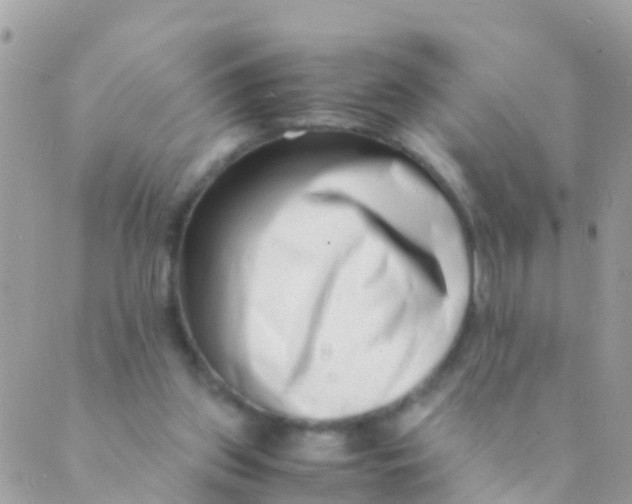 X0000089430157200707061352