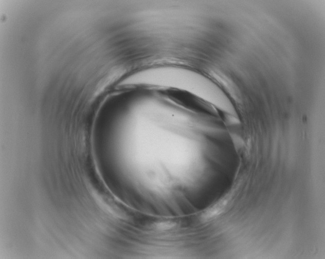 X0000089430158200707061352