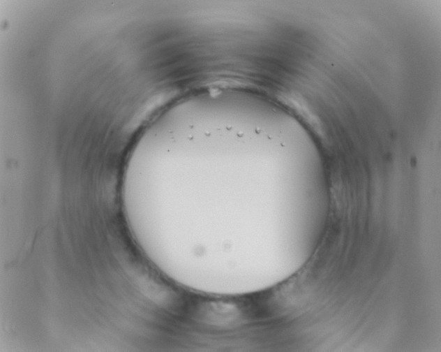 X0000089430159200707061352