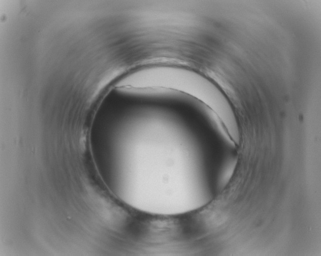 X0000089430160200707061352