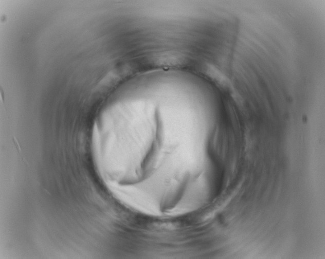 X0000089430161200707061352