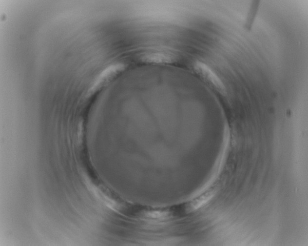 X0000089430163200707061352