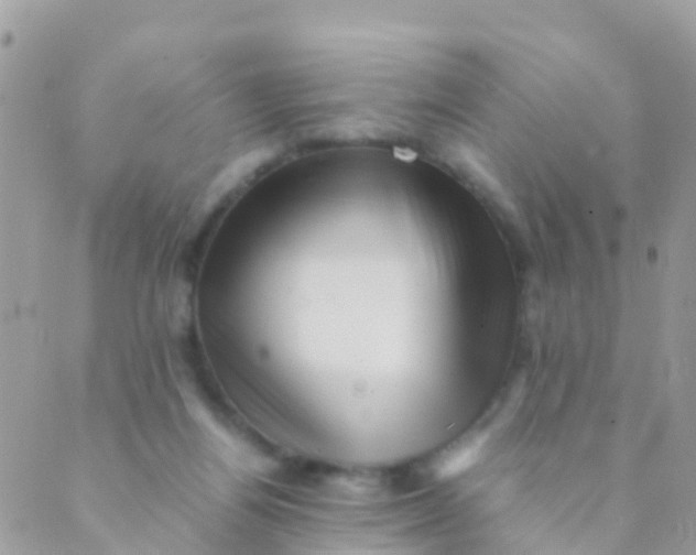 X0000089430164200707061352