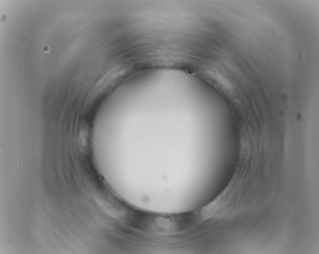 X0000089430166200707061352