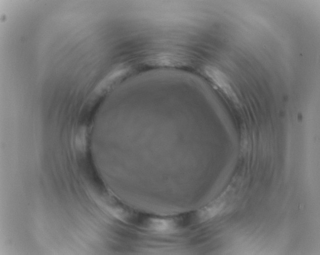 X0000089430167200707061352